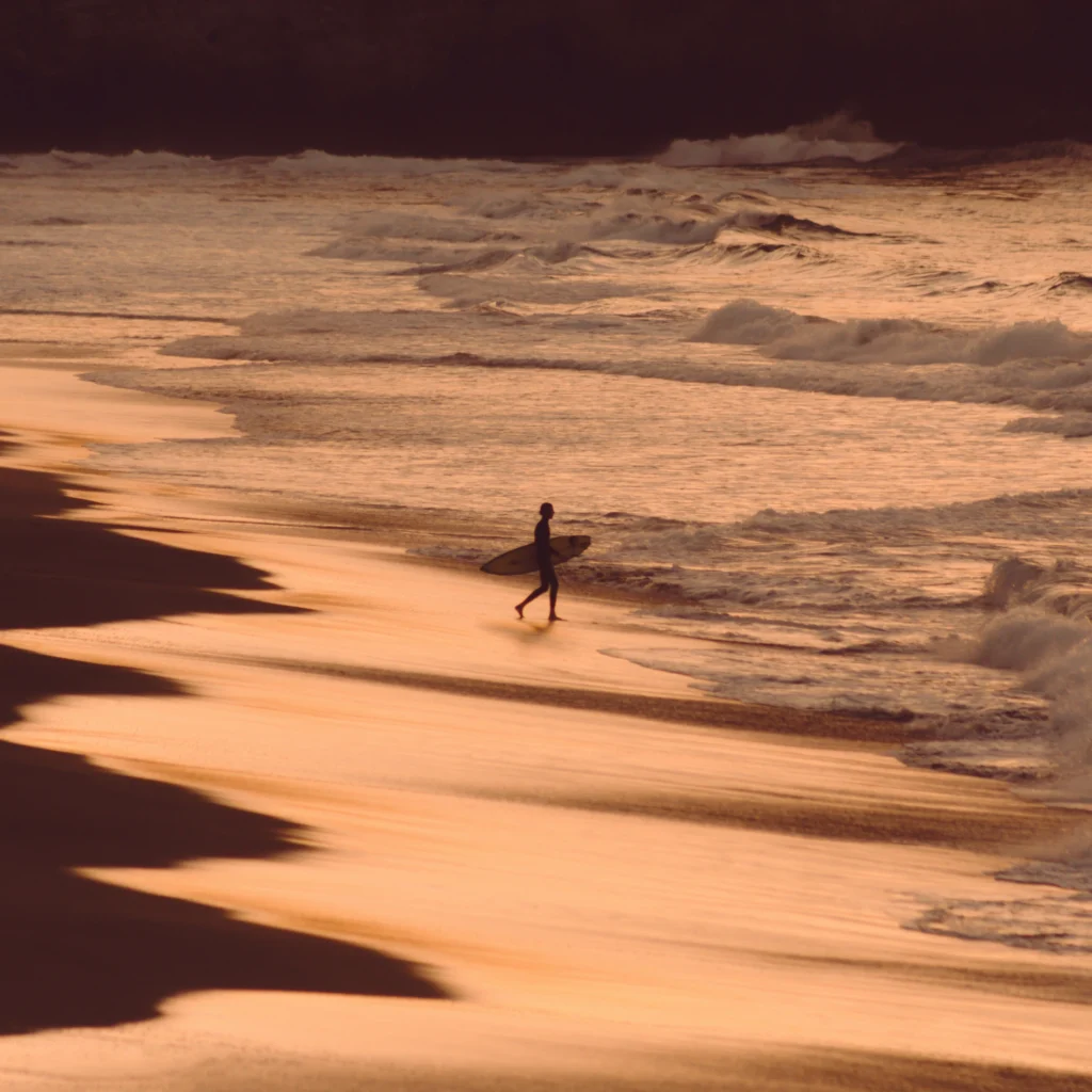 Pour les curieuses et les curieux …